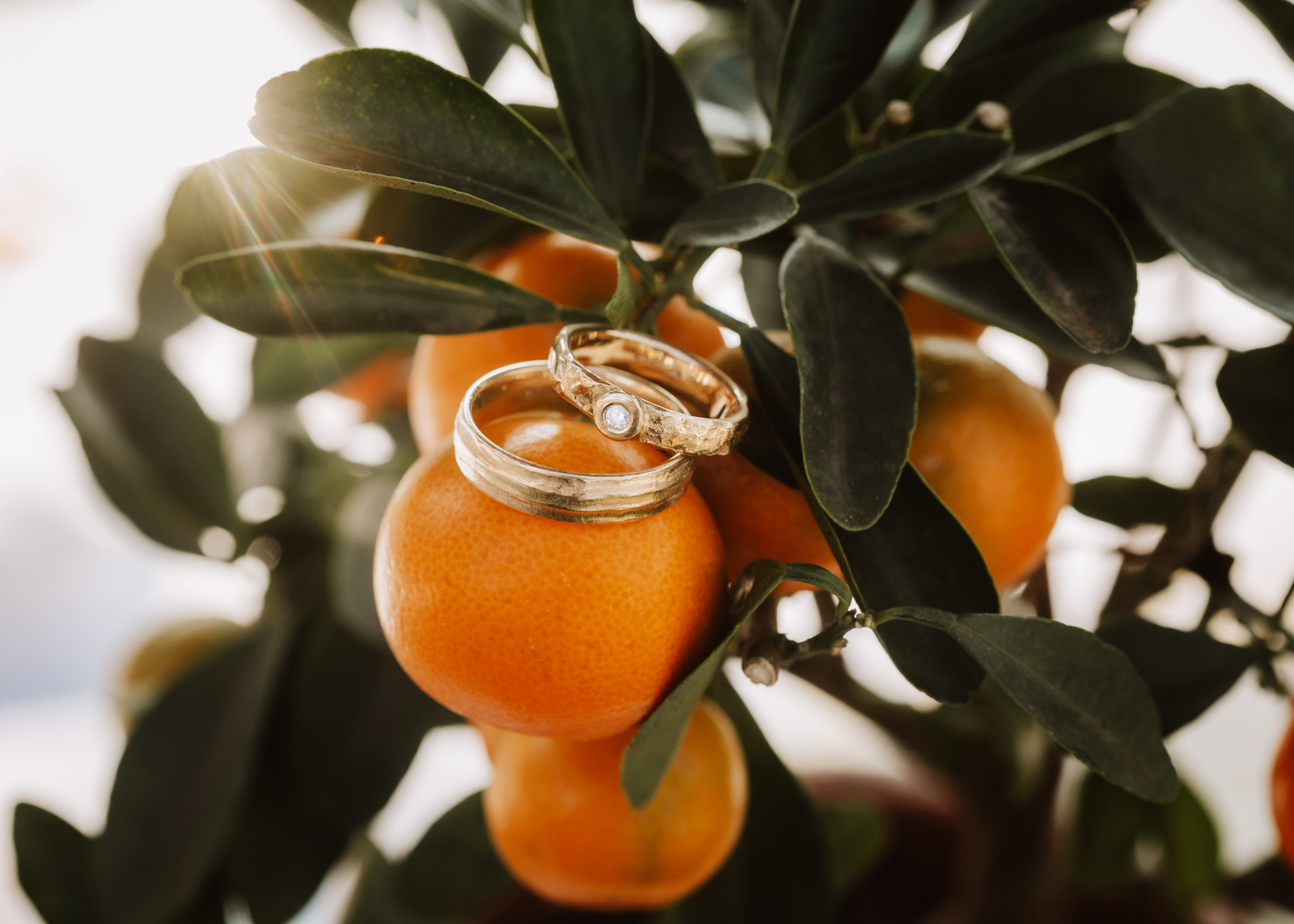 Eheringe als Symbol für Braut und Bräutigam